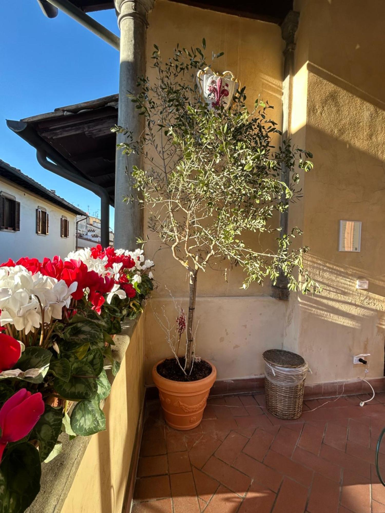 Hotel Botticelli Florence Exterior photo